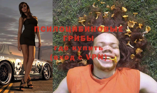 синтетический гашиш Алексин