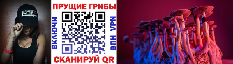 Псилоцибиновые грибы мухоморы Любань
